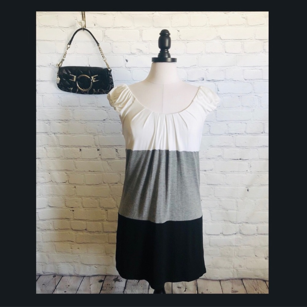 🦩CLEARANCE! BCBG MaxAzria Petites Dress
